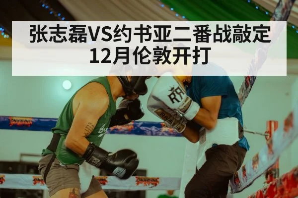 张志磊VS约书亚二番战敲定 12月伦敦开打